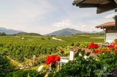 Hotel Jonathan: Balcone - Camera 26