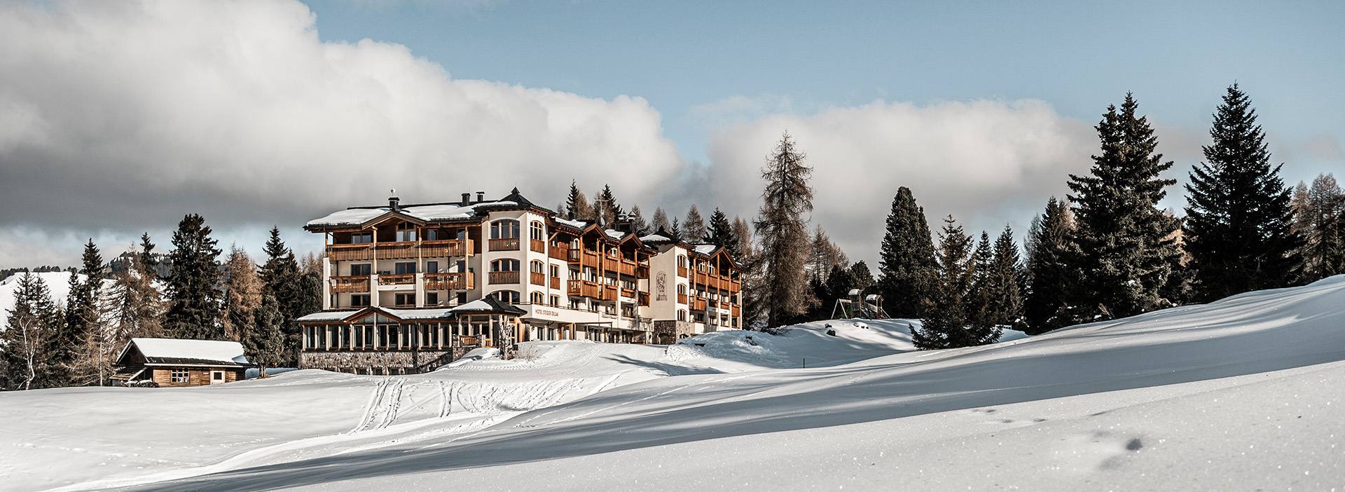 Hotel Steger Dellai