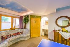 Hotel Schwarzenbach -  Weitere sanitäre Anlagen