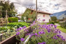 Residence Neuhäuslhof - Garten