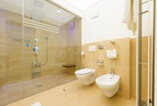Hotel Meranerhof - Bagno Suite n. 202