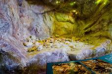 Museum Ladin Ursus ladinicus - Piano inferiore - Grotta dell'orso