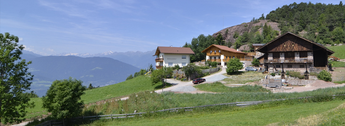 Beimsteinhof