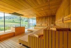 Alpiana Resort - Sauna panoramica