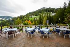Waldschenke - Terrasse