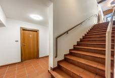 Stairs leading to the toilet in the basement